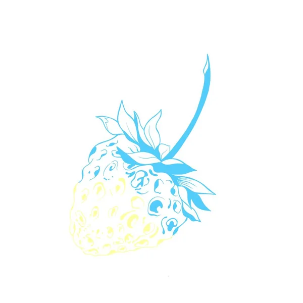 Morango amarelo-azul é a cor da bandeira da Ucrânia. símbolo nacional da Ucrânia. esboço de morango de fruto. parar a guerra na Ucrânia — Fotografia de Stock