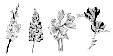 Detaylı çiçek çizimleri. Elle çizilmiş. tasarım tebrik kartı ve düğün davetiyesi, doğum günü, sevgililer günü, anneler günü ve diğer tatiller..