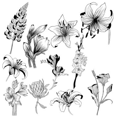 big set of flowers sketches. Hand-drawn. design greeting card and invitation of the wedding, birthday, Valentine's Day, mother's day and other holiday.