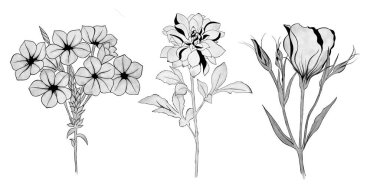 Çiçek buketi, ortanca, kasımpatı ve Eustoma. El yapımı. tasarım tebrik kartı ve düğün davetiyesi, doğum günü, sevgililer günü, anneler günü ve diğer tatiller..