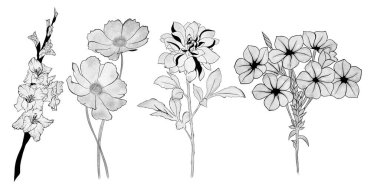 Büyük bir çiçek seti. El çizimi. tasarım tebrik kartı ve düğün davetiyesi, doğum günü, sevgililer günü, anneler günü ve diğer tatiller..