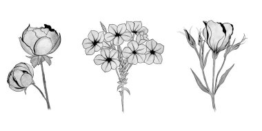 Büyük bir çiçek seti. El çizimi. tasarım tebrik kartı ve düğün davetiyesi, doğum günü, sevgililer günü, anneler günü ve diğer tatiller..