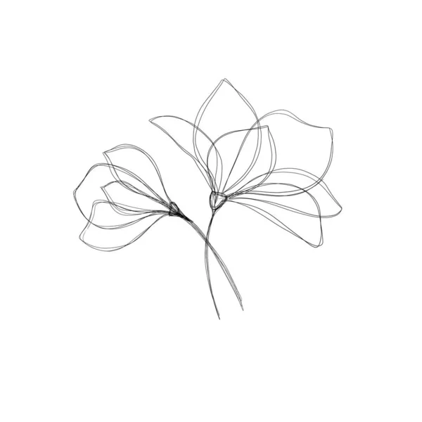 Flower Continuous Line Drawing One Line Art Editable Line Minimalism — Stock Photo, Image