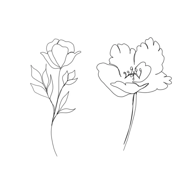set of flowers continuous line drawing. One line art. Editable line. minimalism sketch, idea for invitation, design of instagram stories and highlights icons. set line art set of flowers