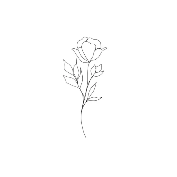 Line Art Drawing Flowers Editable Line Minimalism Sketch Idea Invitation — Stock Photo, Image