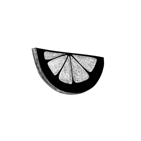 Hand Drawn Slice Lemon Citrus Organic Slice Illustration White Background — Φωτογραφία Αρχείου