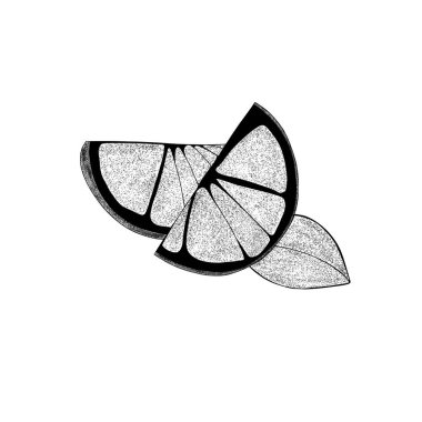 İki limon dilimi ve bir yaprak çizdim. Beyaz arka planda, organik, turunçgiller. Web tasarımınız için.