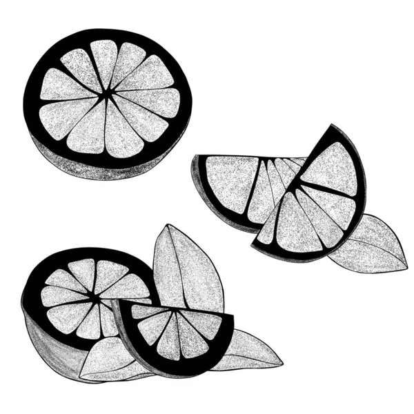 Set Hand Drawn Lemons Leaves Lemon Wedges Half Lemon Citrus — Stok fotoğraf