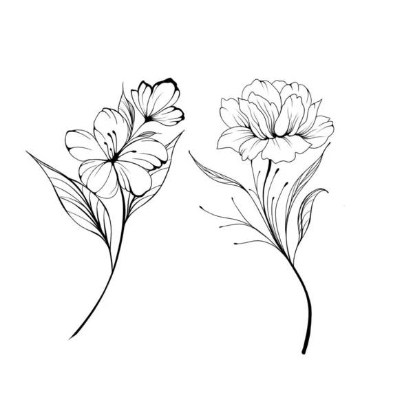 Set Flowers Periwinkle Hand Drawing Outline White Background Beautiful Sketch — Photo