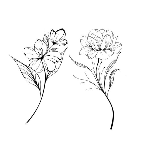 Set Flowers Periwinkle. Hand drawing. Outline. On a white background. Beautiful sketch of a tattoo - a delicate twig with flowers. botany design element