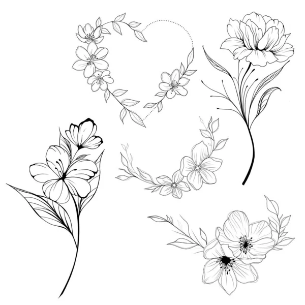 Big Set Flowers Periwinkle Hand Drawing Outline White Background Beautiful — Zdjęcie stockowe