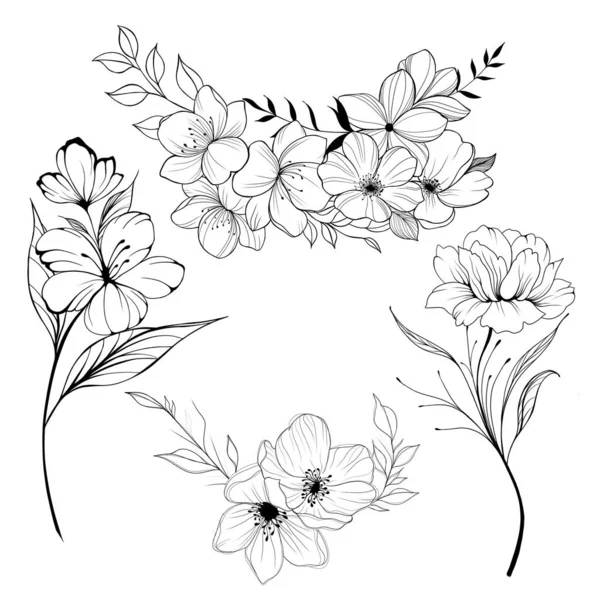 Big Set Flowers Periwinkle Hand Drawing Outline White Background Beautiful — Zdjęcie stockowe