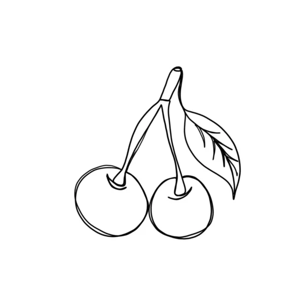 Однорядковий Малюнок Цілих Здорових Органічних Вишень Фірмового Логотипу Саду Свіжий — стокове фото