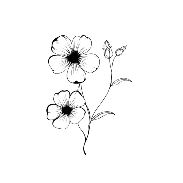 Flowers Periwinkle Hand Drawing Outline White Background Beautiful Sketch Tattoo — Stock Photo, Image