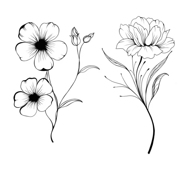 Set Flowers Periwinkle. Hand drawing. Outline. On a white background. Beautiful sketch of a tattoo - a delicate twig with flowers. botany design element