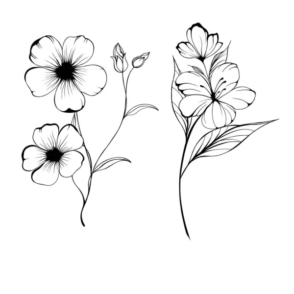 Set Flowers Periwinkle Hand Drawing Outline White Background Beautiful Sketch — Foto Stock