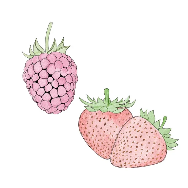 Ripe Juicy Raspberry Sweet Ripe Strawberry Freehand Watercolor Fruit — Stok fotoğraf