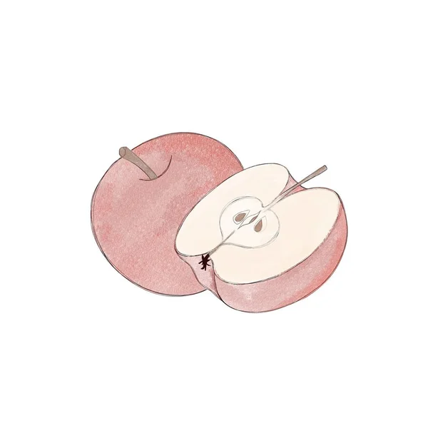 Juicy Ripe Red Apple Half Apple Hand Drawn Watercolor Illustration — 图库照片