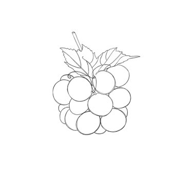 a bunch of grapes - a template for a children's coloring book, a children's task to color a picture