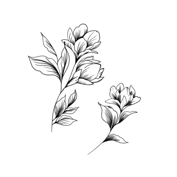 Hand drawn flowers , line-art on white background. Idea for a tattoo sketch, peony tattoo