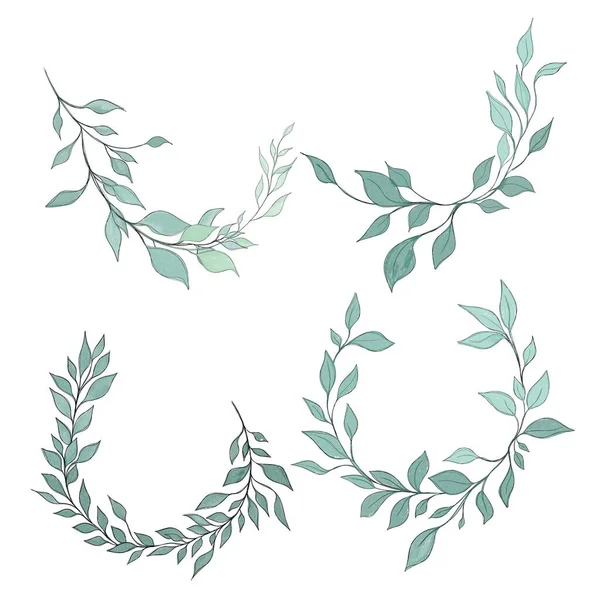 Hand Drawn Floral Frames Flowers Branch Leaves Elegant Logo Template — Photo