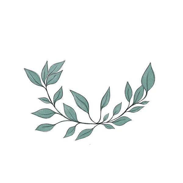Hand Drawn Floral Frames Flowers Branch Leaves Elegant Logo Template — Stok fotoğraf