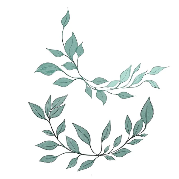 Hand Drawn Floral Frames Flowers Branch Leaves Elegant Logo Template — Φωτογραφία Αρχείου