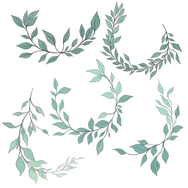 Hand Drawn Floral Frames Flowers Branch Leaves Elegant Logo Template — Fotografia de Stock