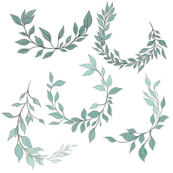 Hand Drawn Floral Frames Flowers Branch Leaves Elegant Logo Template —  Fotos de Stock