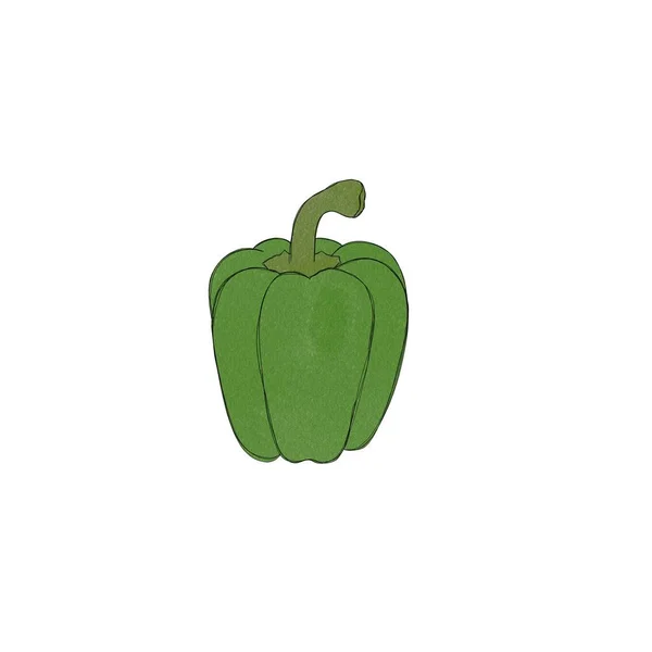 Färsk Paprika Bell Pepper Akvarell Ritning Fri Hand — Stockfoto