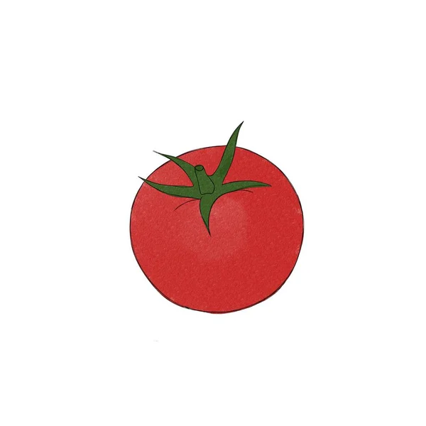 Heerlijke Rijpe Rode Tomaat Aquarel Uit Vrije Hand Illustratie Van — Stockfoto