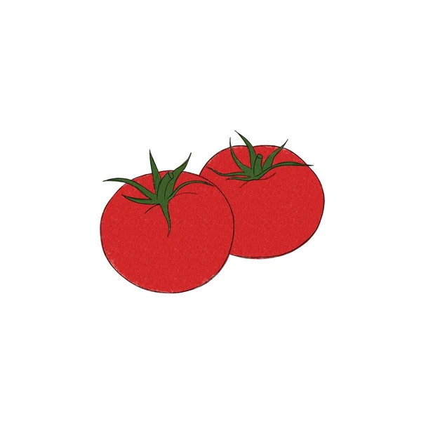 Δύο Νόστιμες Ώριμες Ντομάτες Ακουαρέλα Freehand Απεικόνιση Ενός Λαχανικού — Φωτογραφία Αρχείου