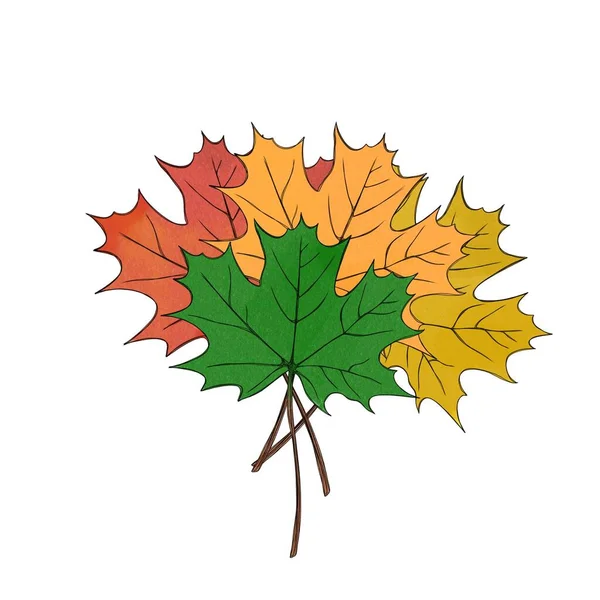 Duży Zestaw Kolorowy Jesień Klon Liście Akwarela Ilustracja Freehand — Zdjęcie stockowe
