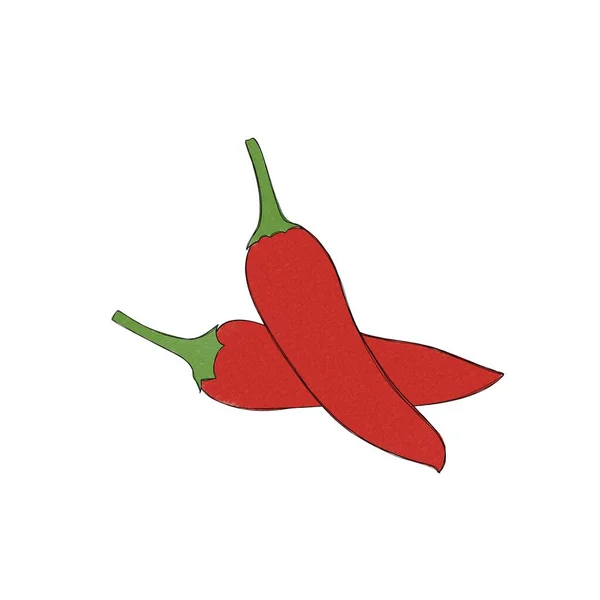 Dibujo Acuarela Mano Alzada Dos Chiles Picantes — Foto de Stock