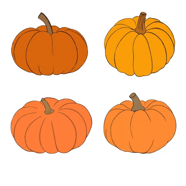 Pumpkin Watercolor Drawing Free Hand Pumpkin Thanksgiving Bright Pumpkin Halloween — Stock Photo, Image