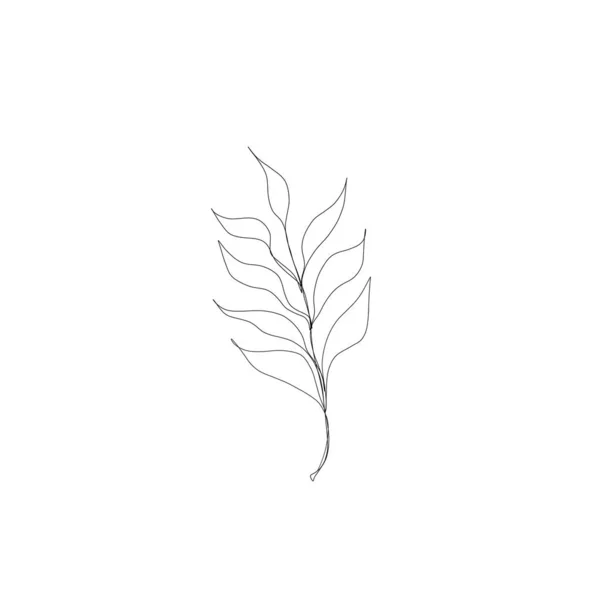 Minimalistic Line Drawing Leaf Line Art Botanical Drawing Illustration Hand - Stock-foto