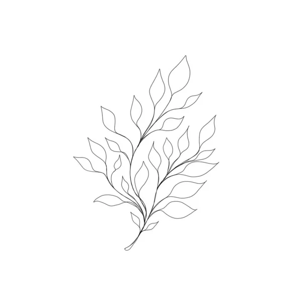 Малюнок Мінімалістичної Лінії Мистецтво Листової Лінії Ботанічний Малюнок Ілюстрація Вручну — стокове фото