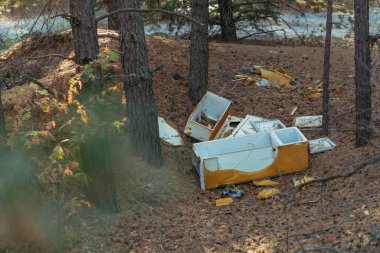 Çok saçma. Ormanda yasadışı atık imhası.