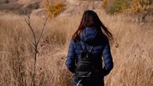 Field Woman Walks Dry Field — Stock Video