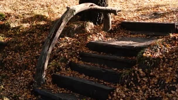Escalier Bois Dans Parc Automne — Video