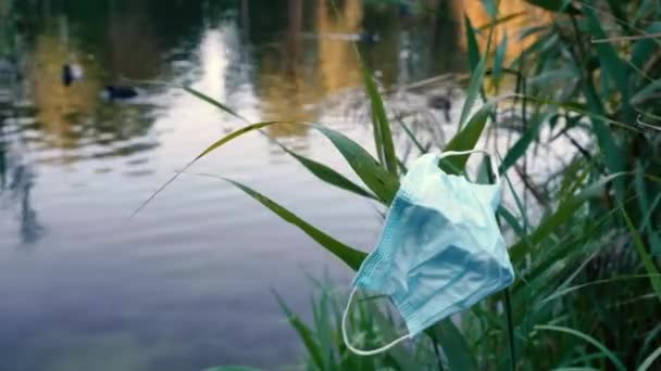 Tıbbi Maske Tıbbi Maske Doğa Parkına Atıldı — Stok video