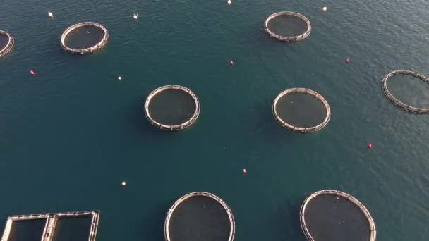 牡蛎农场 海上的农场 空中景观 — 图库视频影像
