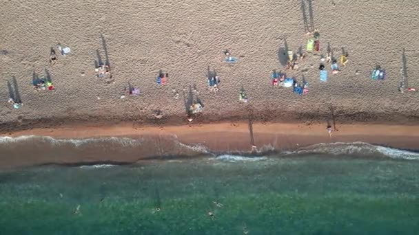Spiaggia Turisti Prendono Sole Sulla Spiaggia Vista Aerea — Video Stock