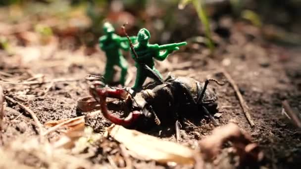 Bug Escarabajo Soldados Juguete Plástico — Vídeo de stock