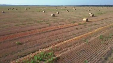 Kayalar. Saman kayaları tarlası. Hava görünümü.