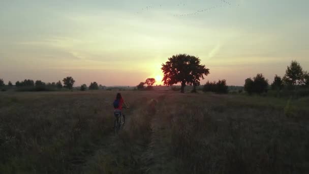 Voyage Une Femme Traverse Steppe Vélo Vue Aérienne — Video