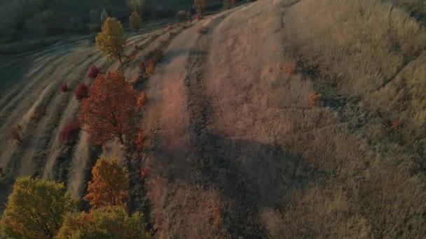 Στέπα Στέπα Την Φθινοπωρινή Περίοδο Ουκρανία Αεροφωτογραφία — Αρχείο Βίντεο