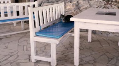 Kilitlenme. Virüs yüzünden kafelerin ve restoranların kapatılması.