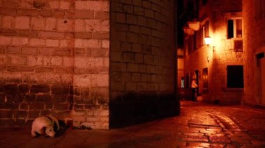 Gece sokağı. Kotor şehrinin gece caddesi. Karadağ.