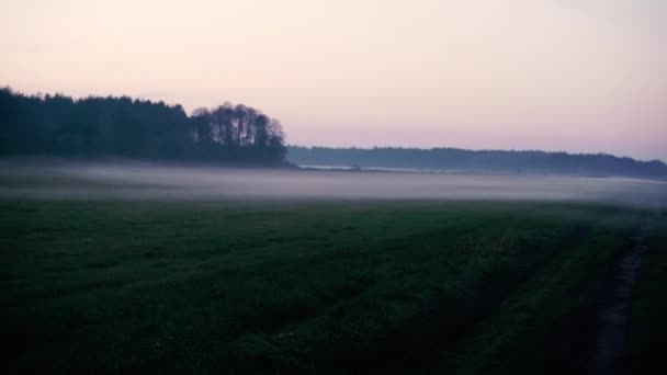Fog Foggy Field Overall Plan — Video